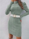 Turtleneck Solid Sweater Dress, Casual Long Sleeve Bodycon Mini Dress, Women's Clothing