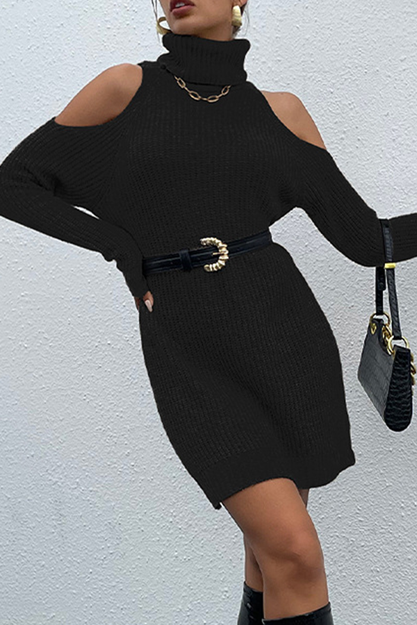 Hoombox Casual Elegant Solid Hollowed Out Patchwork Turtleneck Dresses Sweater (Without Belt)
