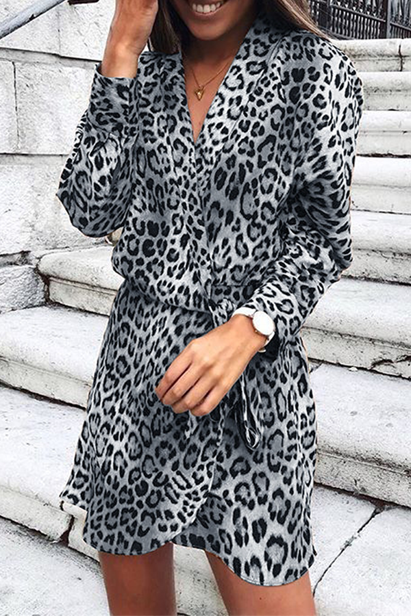 Hoombox Fashion Elegant Leopard Patchwork Strap Design V Neck A Line Dresses