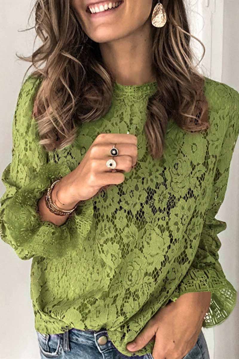 Hoombox  Long Sleeve Openwork Lace Blouse(5 Colors)