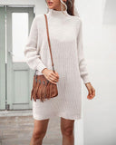 hoombox Mid-length Raglan Sleeve Half Turtleneck Sweater Dress*